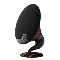 Amadeus-T Phonograph speaker