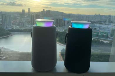 Should I Choose a WiFi or Bluetooth Speaker?