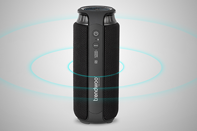 Exploring the Sensory Experience of Touching Speakers