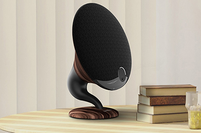 How Much Do You Know About Phonograph Speakers?