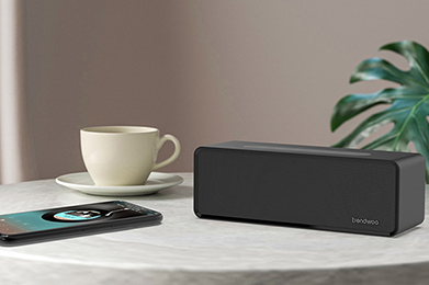 Indoor Speaker - Enhance Your Audio Experience